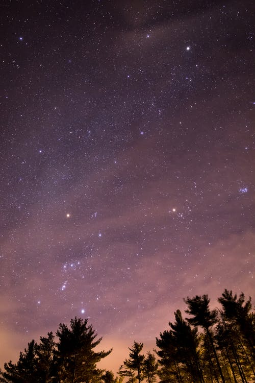 酱香型和浓香型的口感区